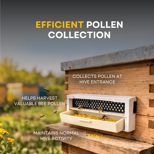 BeeReady Bee Pollen Trap – Efficient Pollen Collector for Apis Cerana Indica