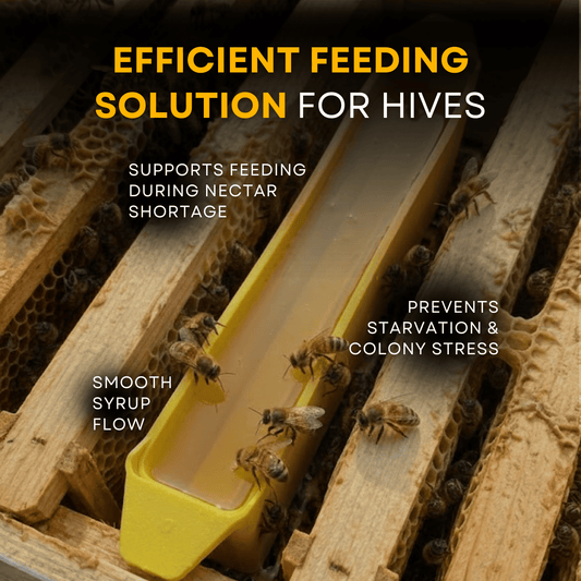 BeeReady Plastic Bee Feeder – Food-Grade Hive Feeder for Apis Cerana Indica (Pack of 2)