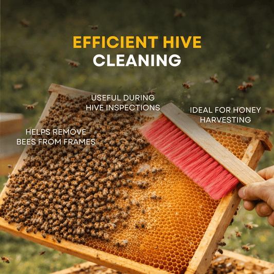 BeeReady Bee Brush – Wooden Handle with Soft Bristles for Hive Cleaning