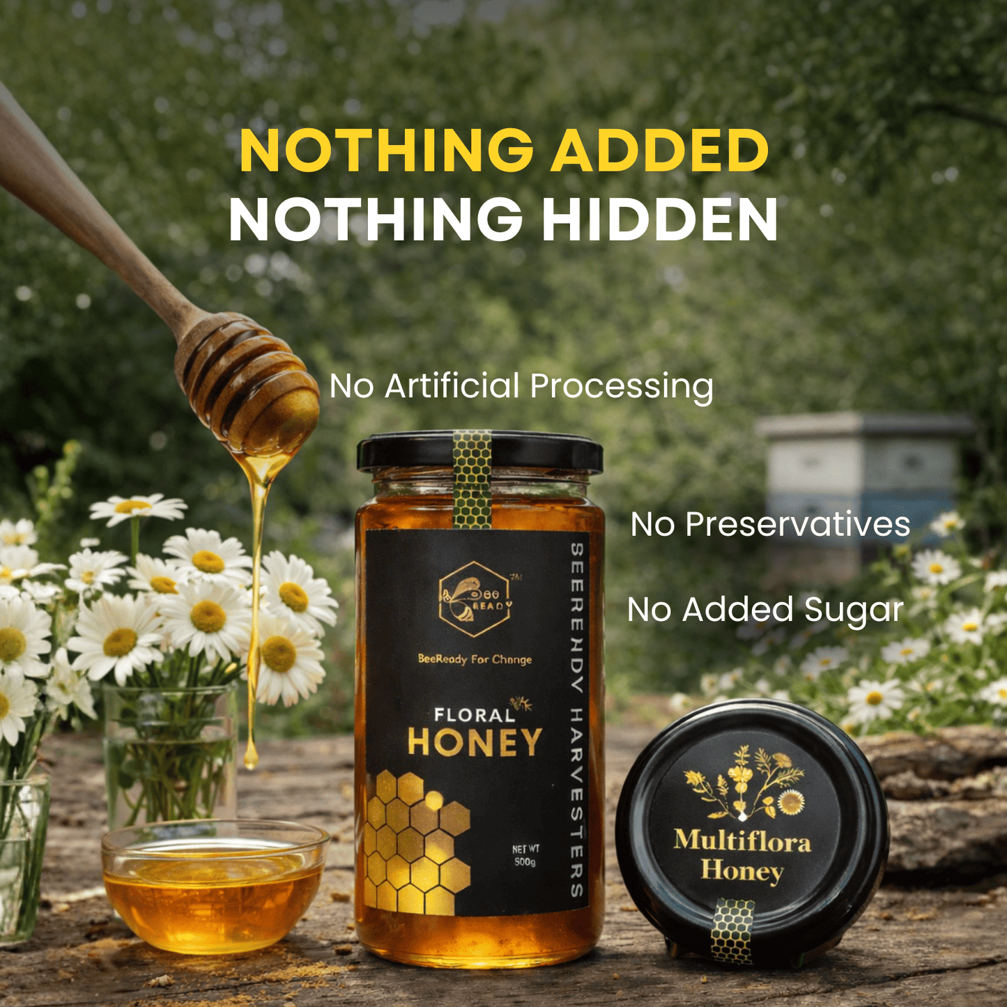 BeeReady Multifloral Raw Honey 500g – Uttarakhand Forest | No Additives