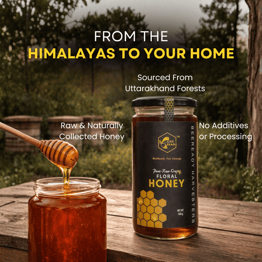 BeeReady Himalayan Raw Pahadi Honey 500g – Uttarakhand Wild Forest | No Additives