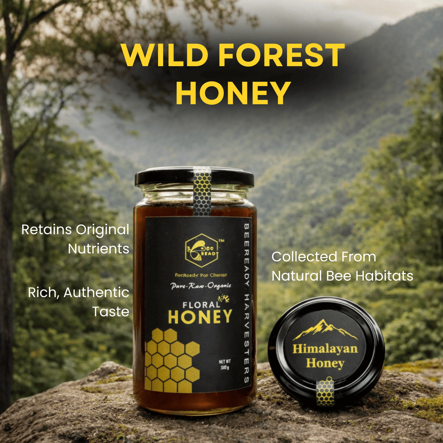 BeeReady Himalayan Raw Pahadi Honey 500g – Uttarakhand Wild Forest | No Additives