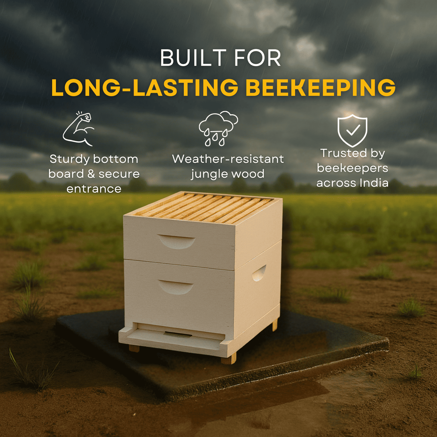 BeeReady Wooden Bee Hive Box – Durable Bee Box for Apis Mellifera