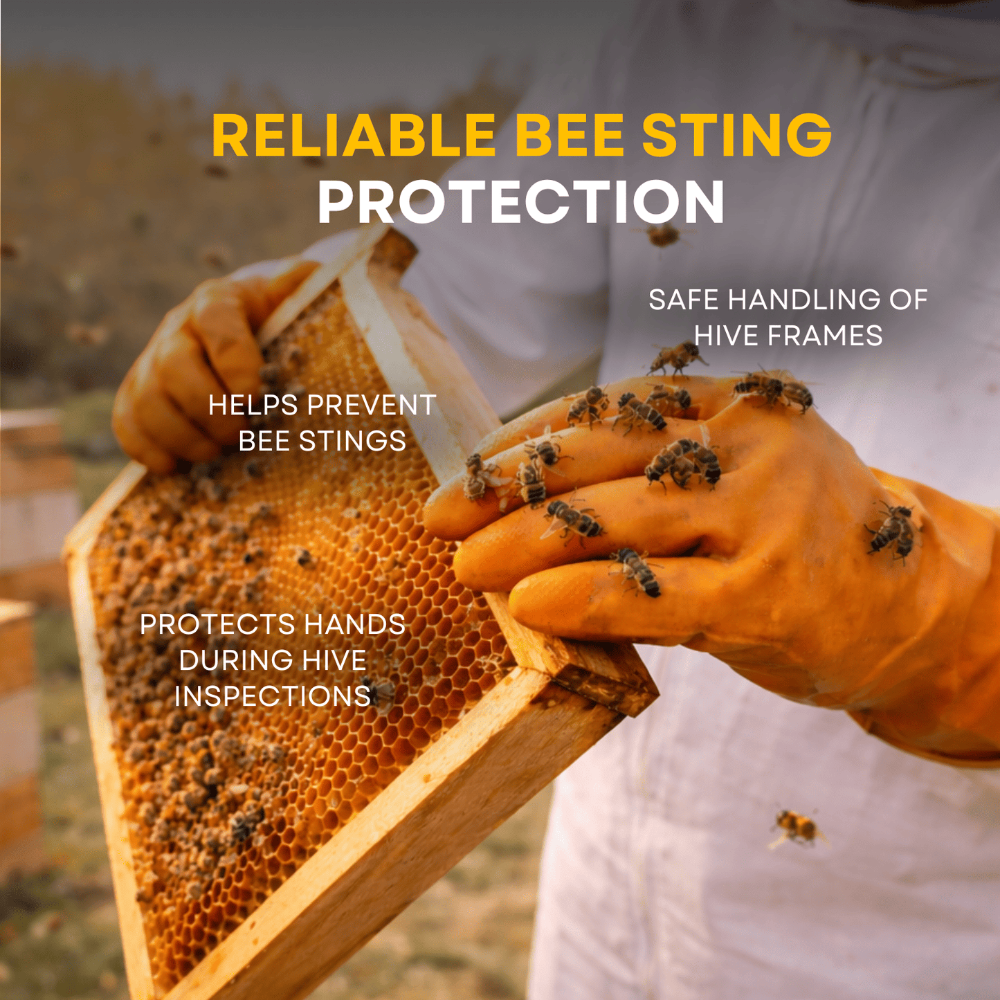 BeeReady Beekeeping Gloves – Protective Rubber Gloves for Hive Work