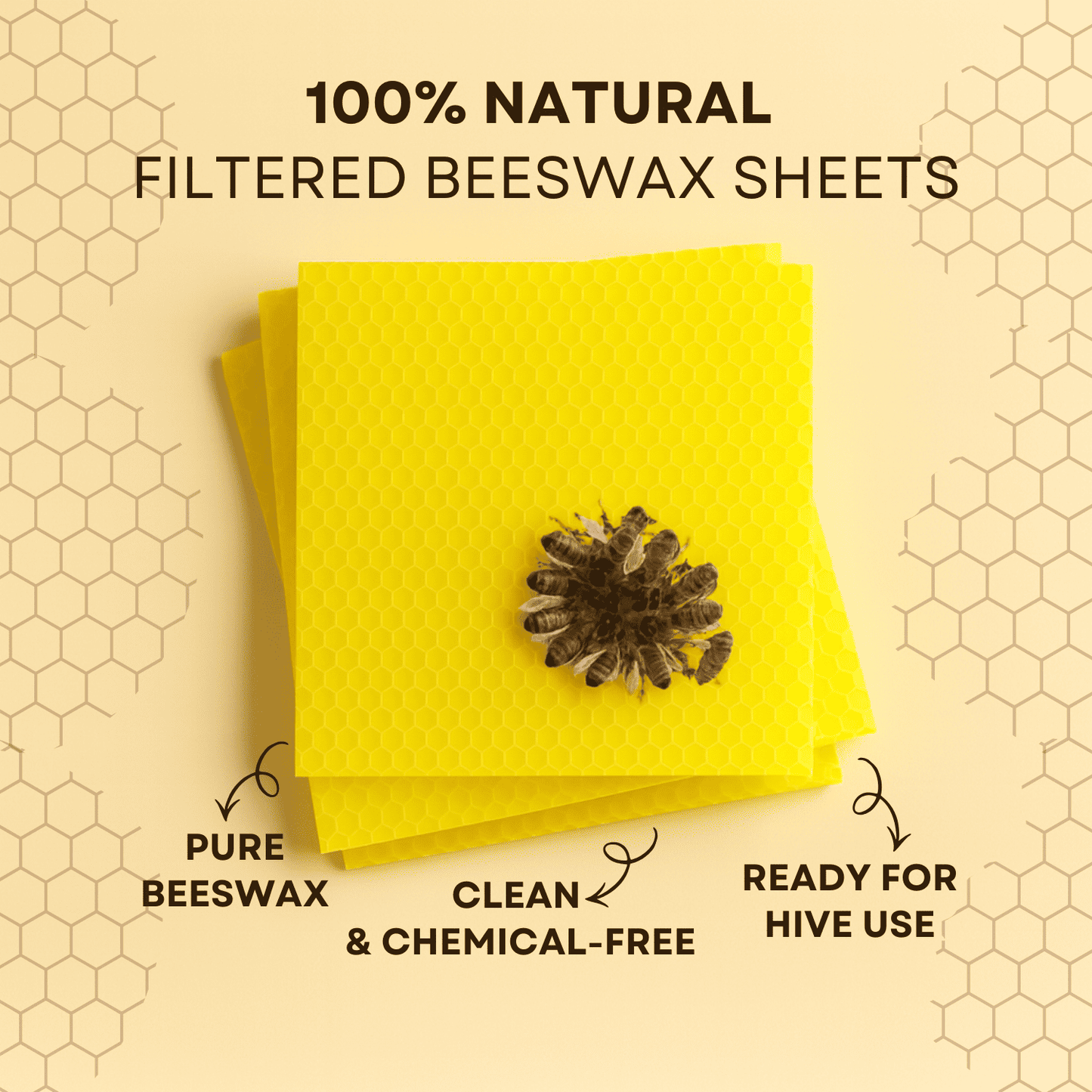 BeeReady Beeswax Foundation Sheets – Honeycomb Sheets for Apis Cerana Indica (Pack of 15)