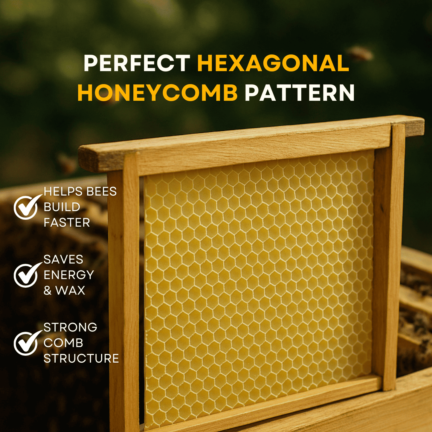 BeeReady Beeswax Foundation Sheets – Honeycomb Sheets for Apis Cerana Indica (Pack of 15)