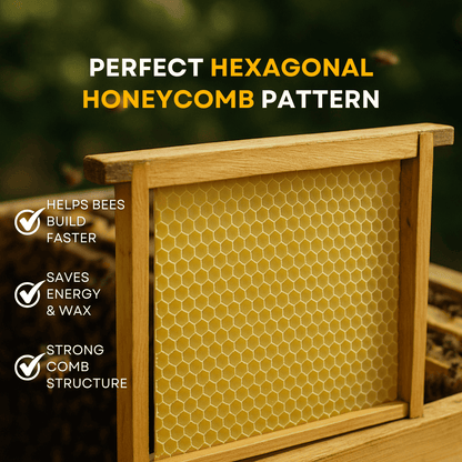 BeeReady Beeswax Foundation Sheets – Honeycomb Sheets for Apis Cerana Indica (Pack of 15)