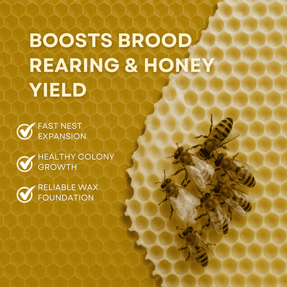 BeeReady Beeswax Foundation Sheets – Honeycomb Sheets for Apis Cerana Indica (Pack of 15)