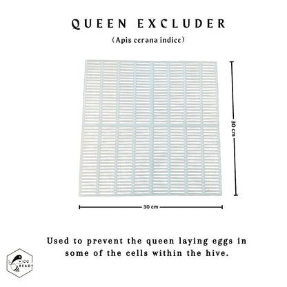 Queen Excluder For Apis Cerana Indica (Plastic)- Pack of 2