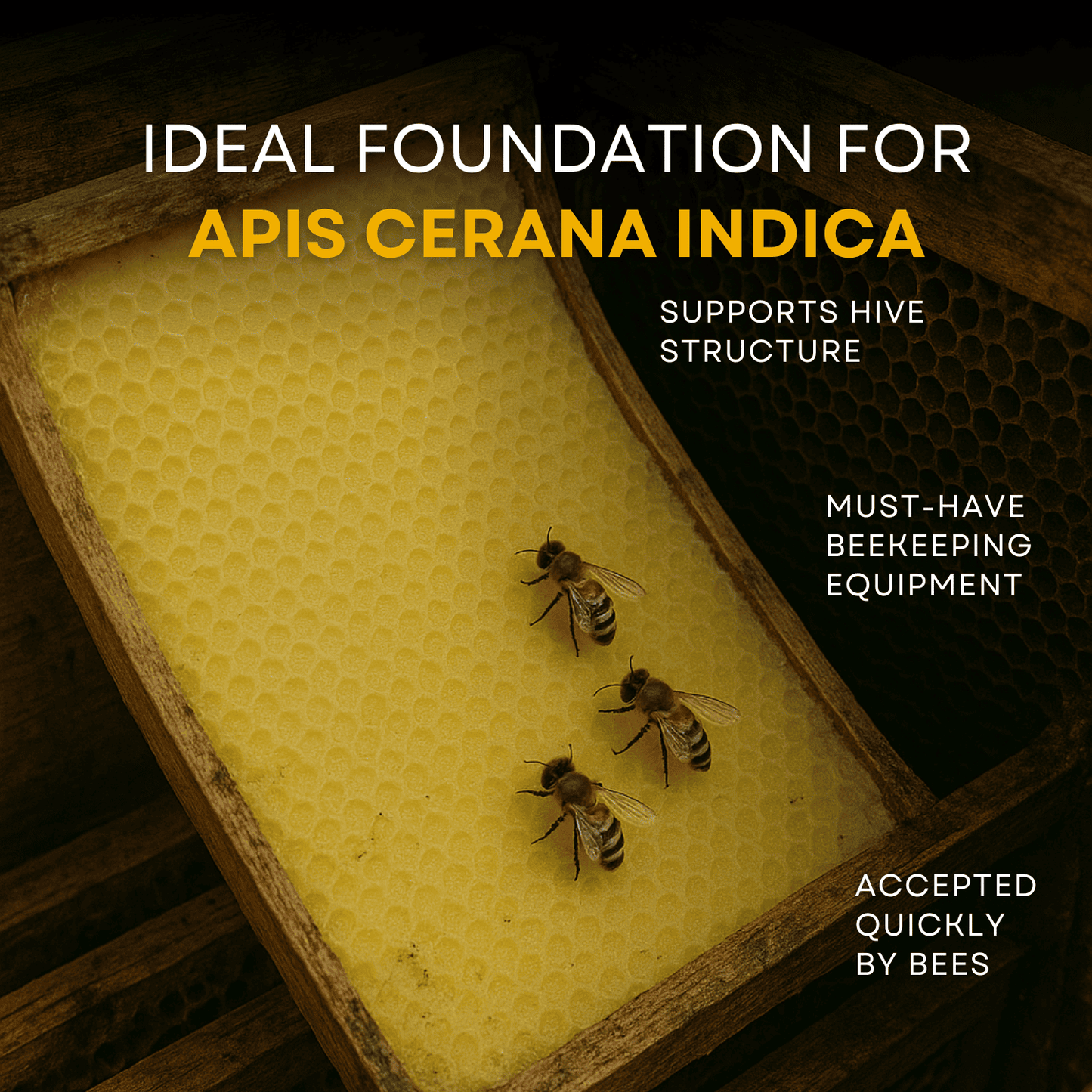 BeeReady Beeswax Foundation Sheets – Honeycomb Sheets for Apis Cerana Indica (Pack of 15)