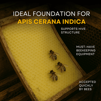 BeeReady Beeswax Foundation Sheets – Honeycomb Sheets for Apis Cerana Indica (Pack of 15)