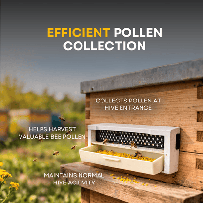 BeeReady Bee Pollen Trap – Efficient Pollen Collector for Apis Cerana Indica