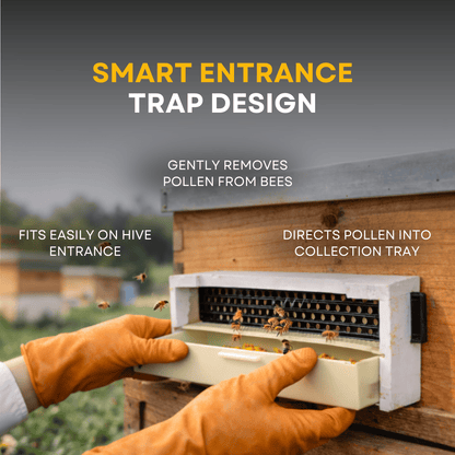 BeeReady Bee Pollen Trap – Efficient Pollen Collector for Apis Cerana Indica