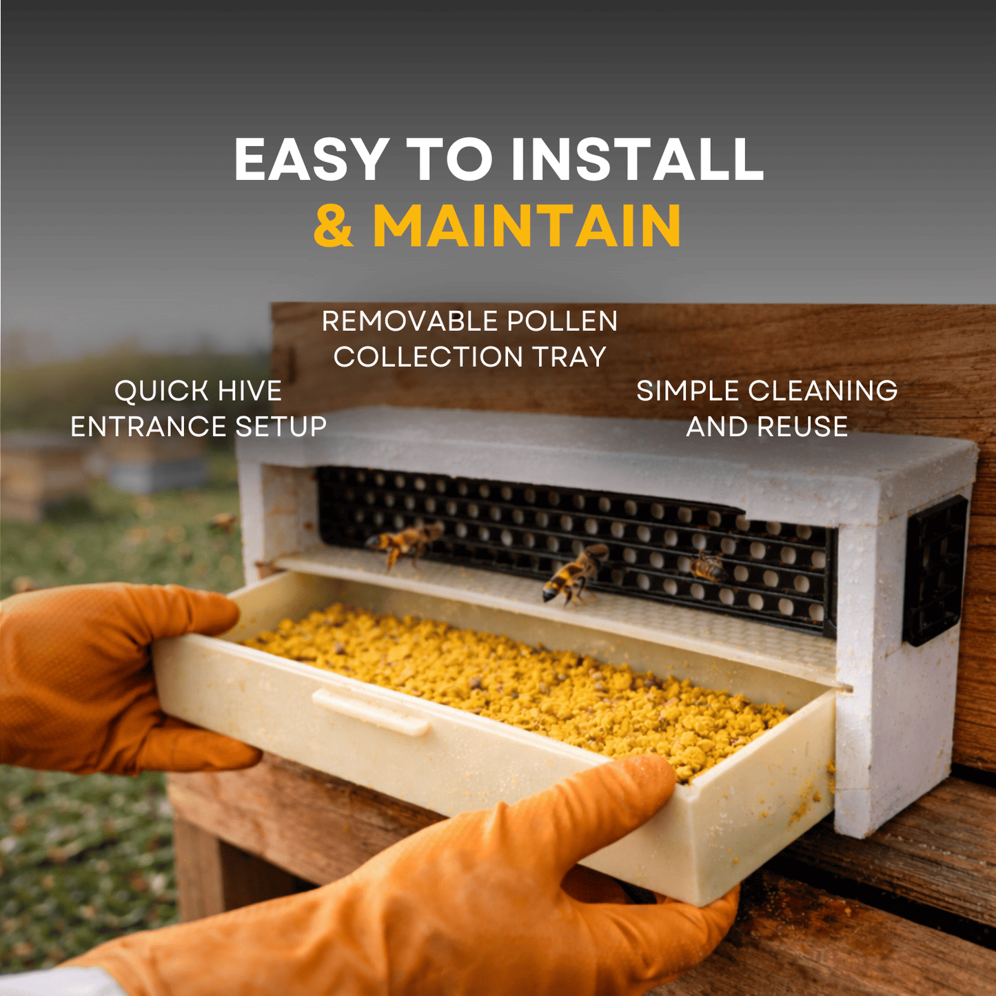 BeeReady Bee Pollen Trap – Efficient Pollen Collector for Apis Cerana Indica