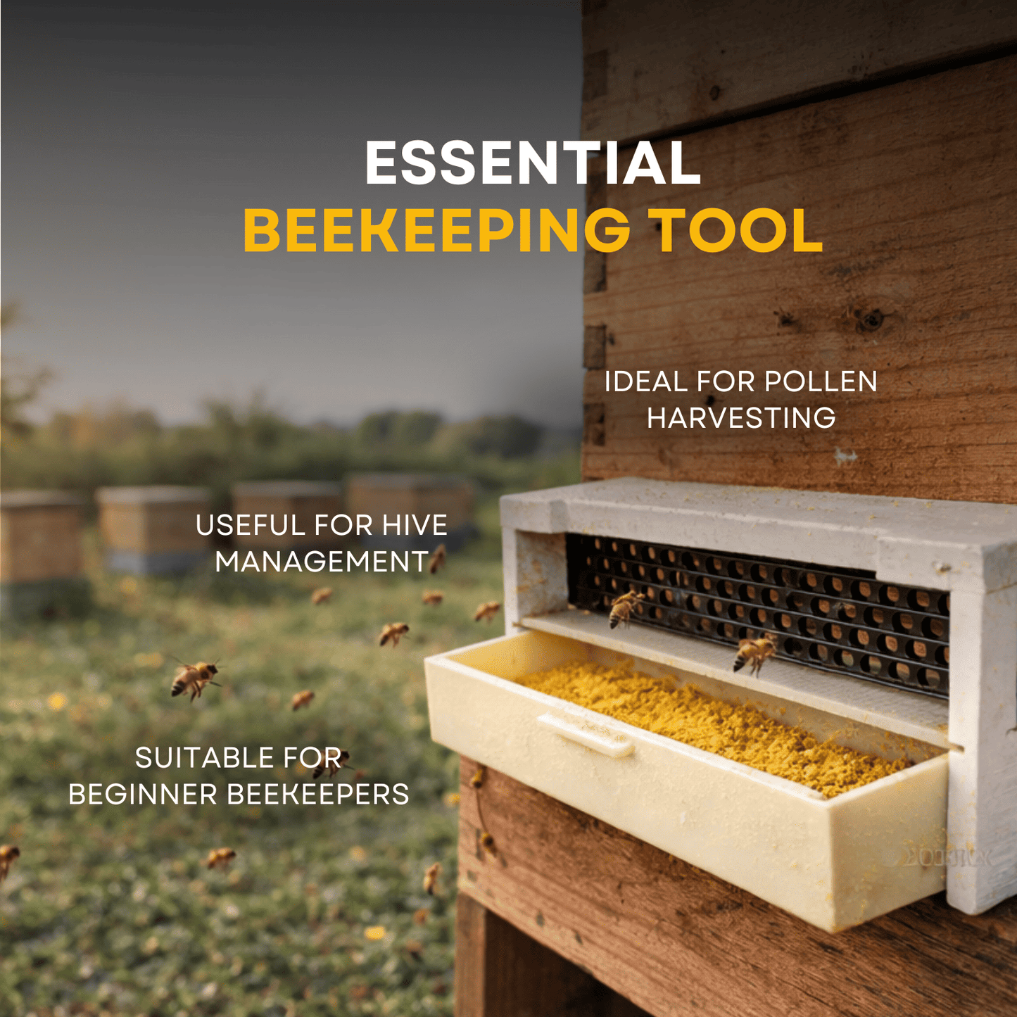 BeeReady Bee Pollen Trap – Efficient Pollen Collector for Apis Cerana Indica