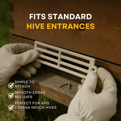 BeeReady Queen Bee Gate (Pack of 20) – Hive Entrance Control Tool For Apis Cerana Indica