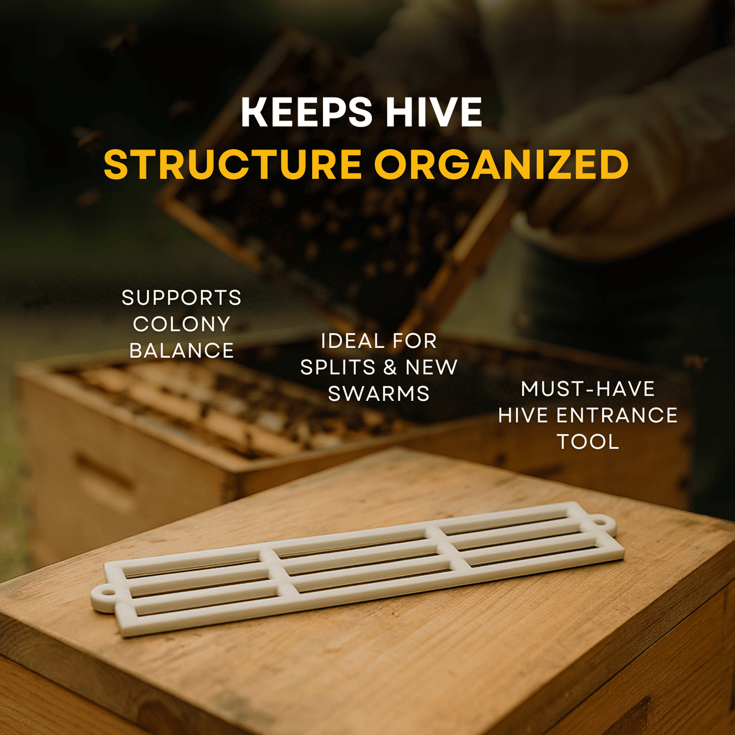 BeeReady Queen Bee Gate (Pack of 20) – Hive Entrance Control Tool For Apis Cerana Indica