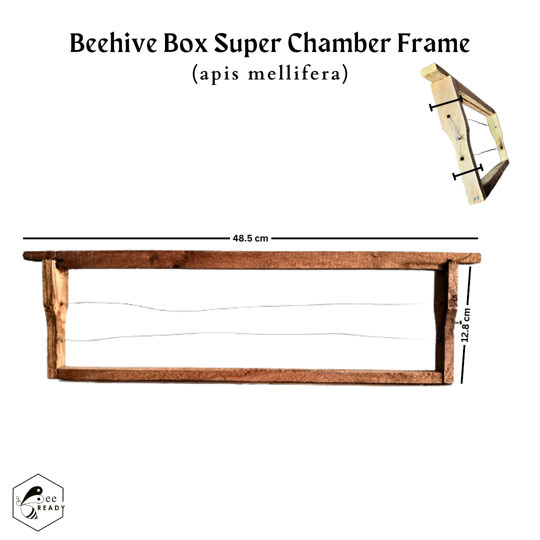 Beekeeping Equipment Wooden Frames For Apis Mellifera  -  (Pack of 5)