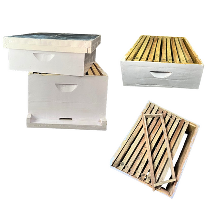 BeeReady Wooden Bee Hive Box – Durable Bee Box for Apis Mellifera
