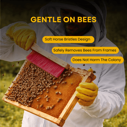 BeeReady Bee Brush – Wooden Handle with Soft Bristles for Hive Cleaning