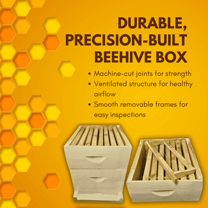 BeeReady Wooden Bee Hive Box – Durable Bee Box for Apis Mellifera