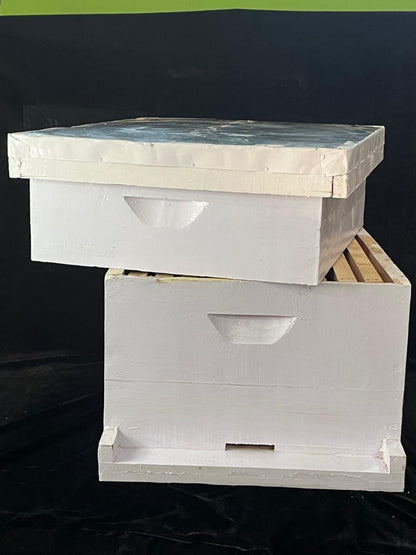 BeeReady Wooden Bee Hive Box – Durable Bee Box for Apis Mellifera