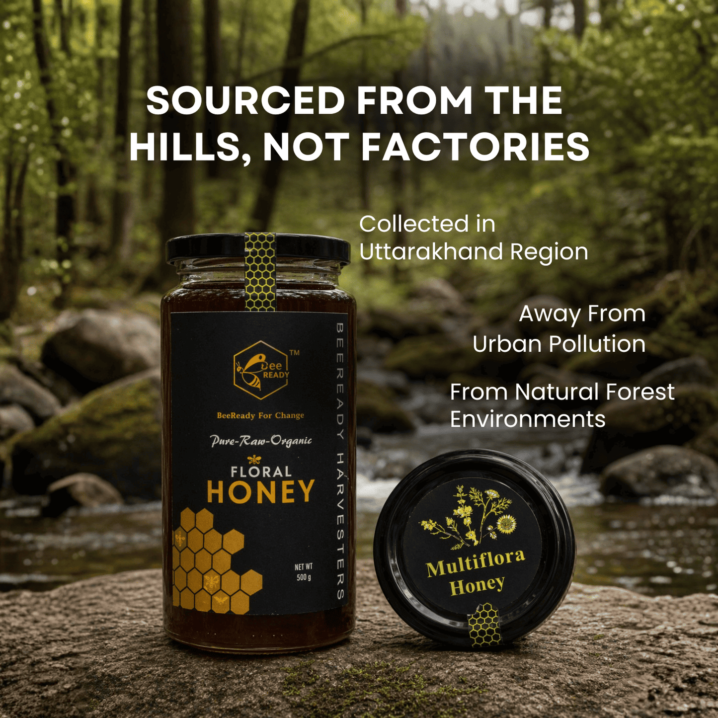 BeeReady Multifloral Raw Honey 500g – Uttarakhand Forest | No Additives