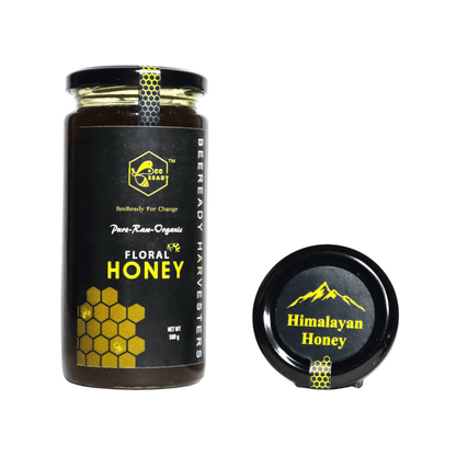 BeeReady Himalayan Raw Pahadi Honey 500g – Uttarakhand Wild Forest | No Additives