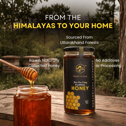 BeeReady Himalayan Raw Pahadi Honey 500g – Uttarakhand Wild Forest | No Additives