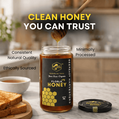 BeeReady Himalayan Raw Pahadi Honey 500g – Uttarakhand Wild Forest | No Additives