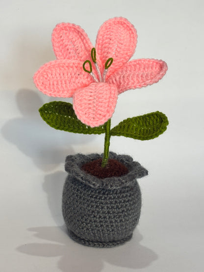 Handmade Crochet Lily Flower Pot for Home & Office Decor | Soft Knitted Floral Pot Showpiece | Reusable Handmade Table Decoration