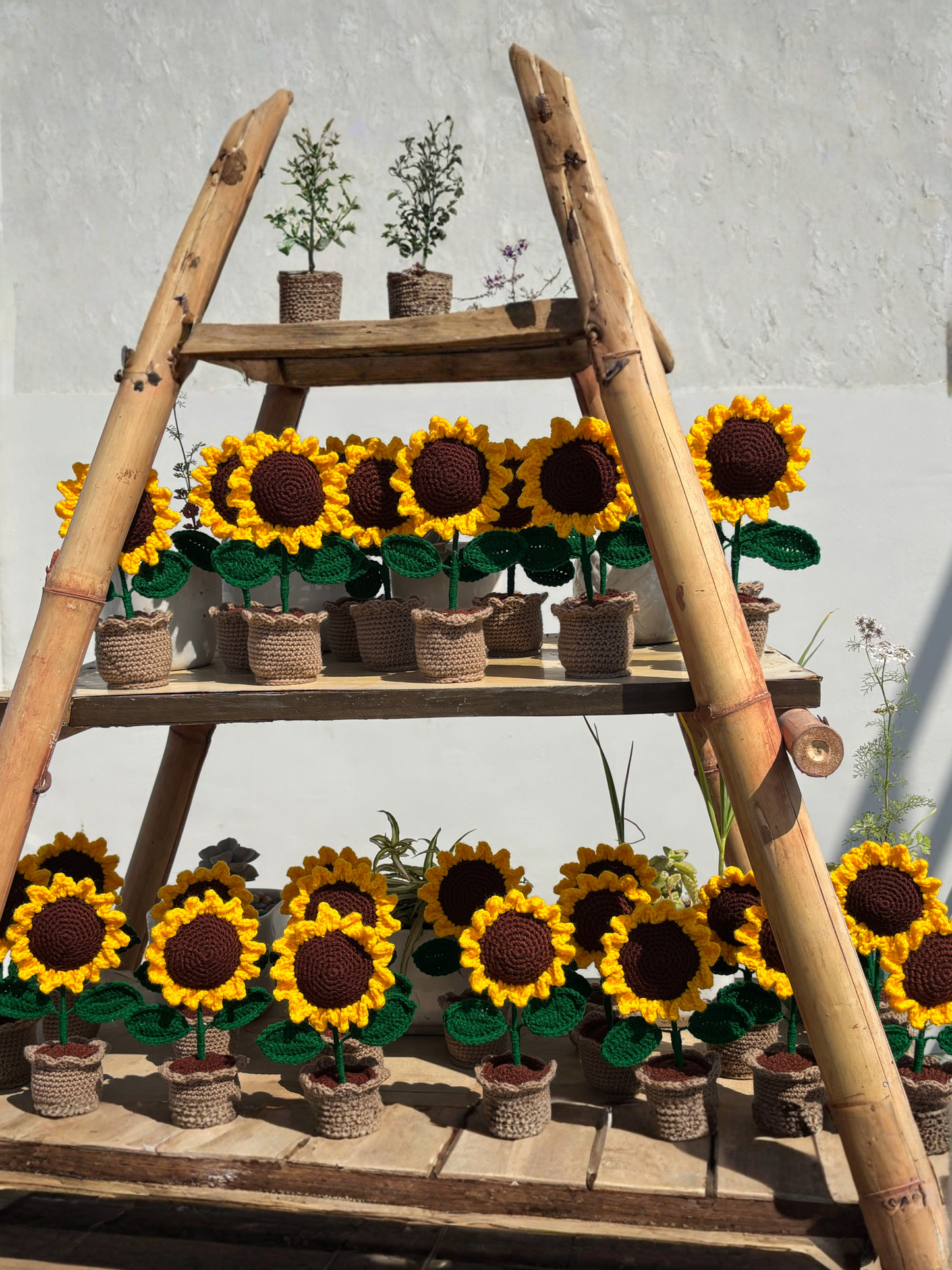 Sunflower Pot Handmade Crochet Sunflower Pot | Decorative Flower Pot for Home Decor