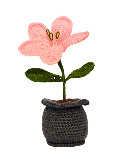 Handmade Crochet Lily Flower Pot for Home & Office Decor | Soft Knitted Floral Pot Showpiece | Reusable Handmade Table Decoration