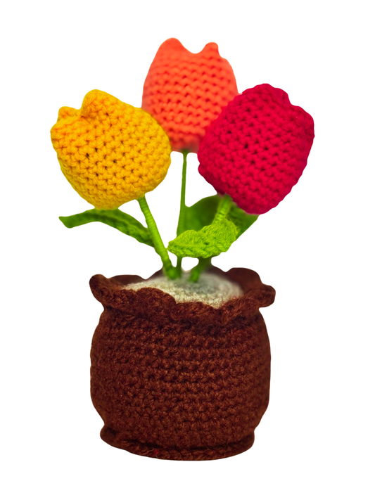 Handmade Multi Tulip Crochet Pot for Home Décor & Gifting | Colorful Floral Table Decoration | Made by Local Women