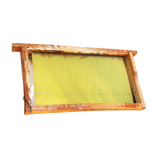 BeeReady Beeswax Foundation Sheets – Honeycomb Sheets for Apis Cerana Indica (Pack of 15)