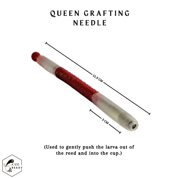 BeeReady - Beekeeping Queen Grafting Needle Tool Plastic (Pack of 2)| Essential Beekeeping Equipment - Image 3