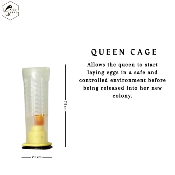 Queen cage with 4 parts ( Pack Of 5) - Image 2