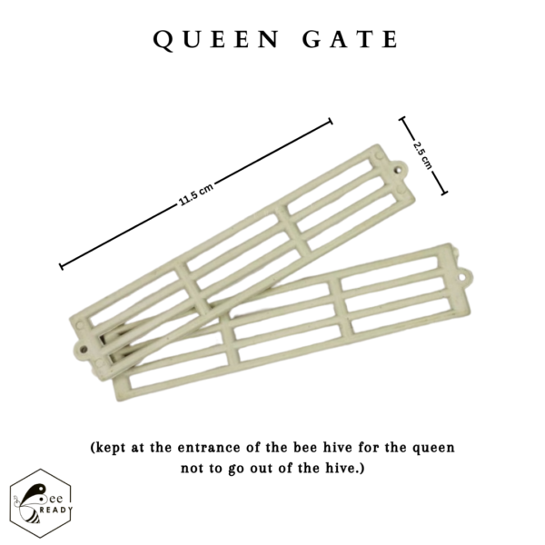 BeeReady -  Plastic Queen Bee Gate (Pack of 10) | Essential beekeeping equipment