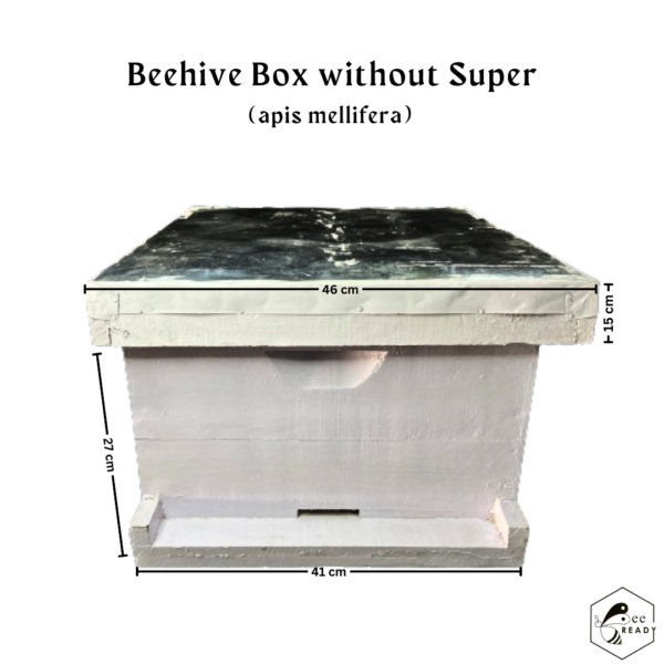 BeeReady  - Honey Beehive Wooden Box (Apis Mellifera) - Premium Quality Apiculture Equipment - Image 2