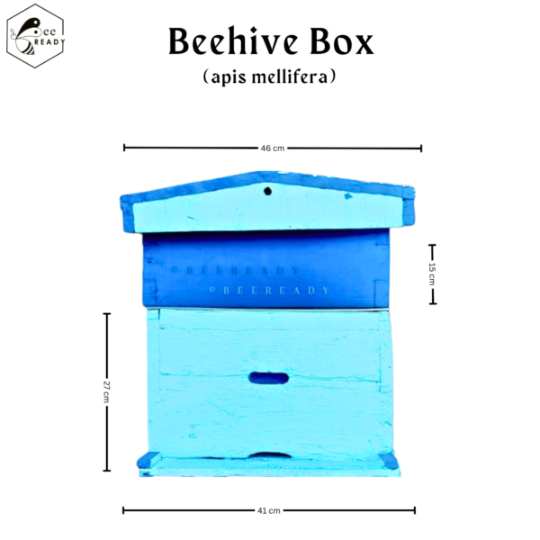 BeeReady  - Honey Bee Hive Wooden Box With Super Chamber (Apis Mellifera) - Premium Quality Apiculture Equipment - Image 2