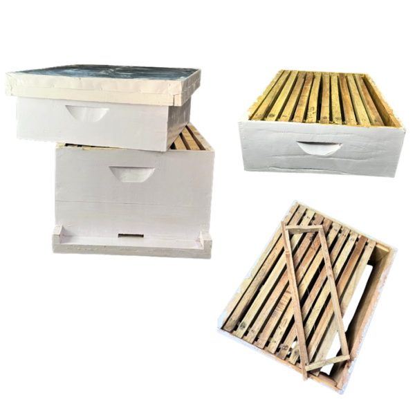 BeeReady  - Honey Bee Hive Wooden Box With Super Chamber (Apis Mellifera) - Premium Quality Apiculture Equipment - Image 3