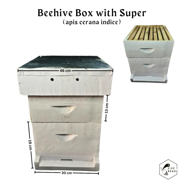 Beehive box with super - Image 2