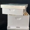 BeeReady  - Honey Bee Hive Wooden Box With Super Chamber (Apis Mellifera) - Premium Quality Apiculture Equipment - Image 4