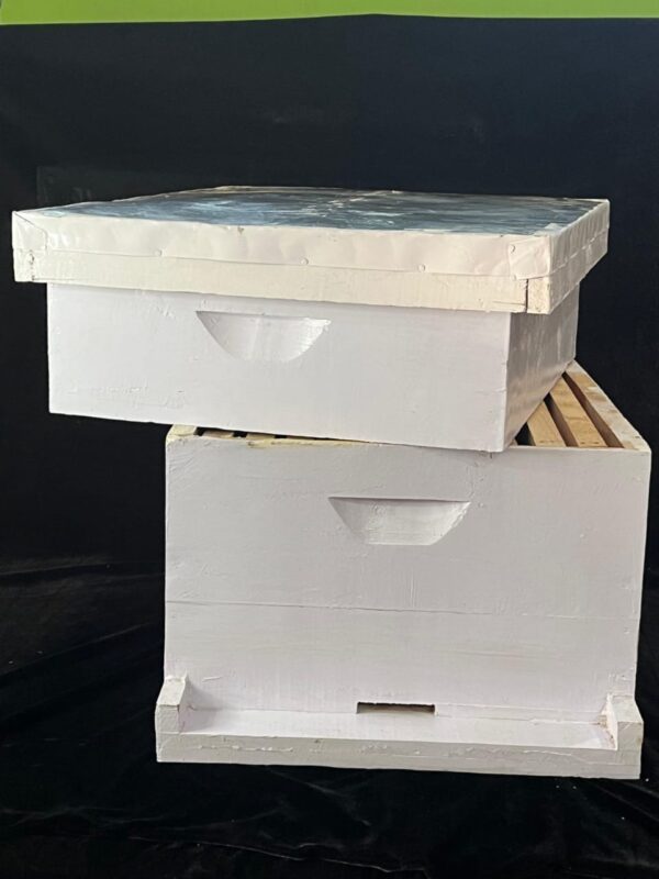 BeeReady  - Honey Bee Hive Wooden Box With Super Chamber (Apis Mellifera) - Premium Quality Apiculture Equipment - Image 4