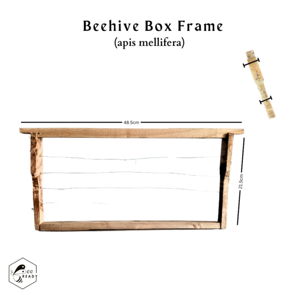 Beekeeping Equipment Wooden Frames For Apis Mellifera  -  (Pack of 5)